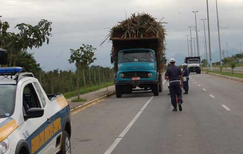 , A Guarda Civil Municipal continua fiscalizando os caminhões que transportam cana para coibir os excessos (Foto: Check)