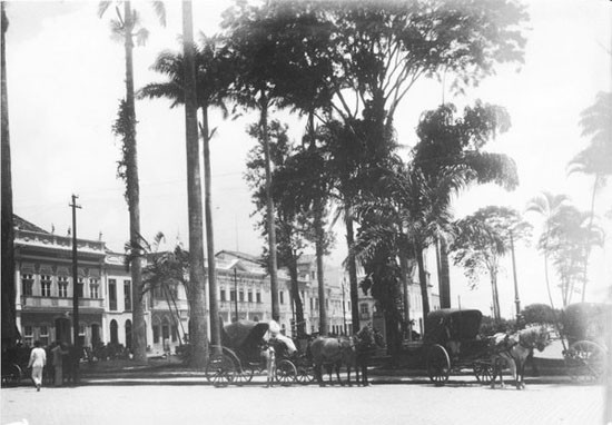 A História de Campos Dos Goytacazes