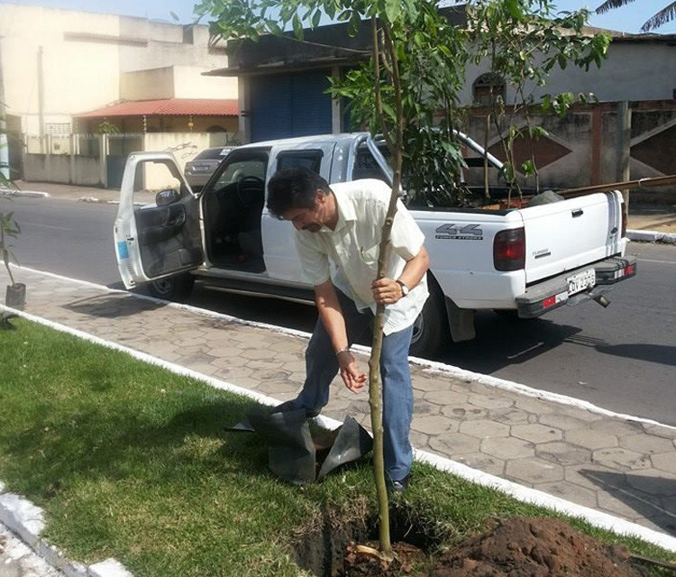 Meio Ambiente planta árvores nativas e frutíferas do Parque Guarus. (Foto: divulgação)