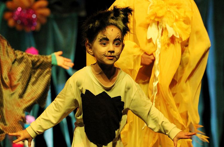 Festin 2014 com programação até sábado. (Foto: Divulgação)