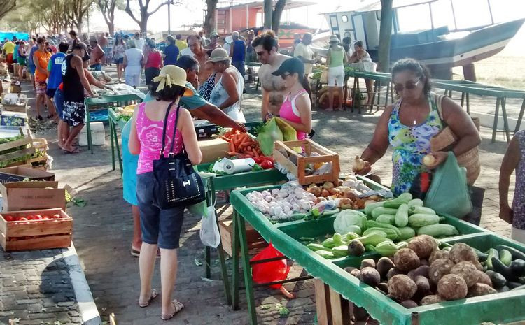 Tudo vem da própria região: queijo da roça, frutas, legumes, verduras, doces, carnes, pescado, biscoitos, leite e outros (Foto: Secom)