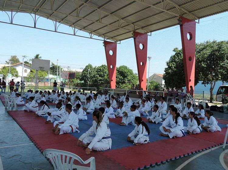 Uma equipe de taekwondo de alto rendimento, da Fundação Municipal de Esportes,  vai participar de um Curso de Competição, para aperfeiçoar as novas técnicas e conhecer as novas regras que vêm sendo colocadas em prática no esporte (Foto: Divulgação)