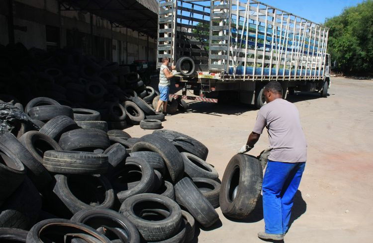 Atualmente são recolhidos 6 mil pneus por mês, através da coleta feita nos terrenos baldios, nas margens dos rios e das lagoas, nas ações da Secretaria de Desenvolvimento Ambiental (Foto: Rodolfo Lins)