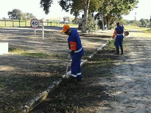  (Foto: Divulgação)