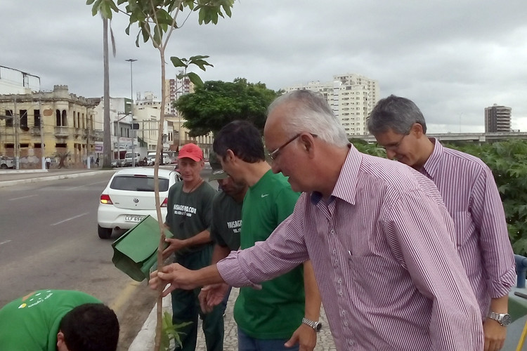 Campos é uma das cidades mais arborizadas do Estado do Rio de Janeiro (Foto: Superintendência de Comunicação)