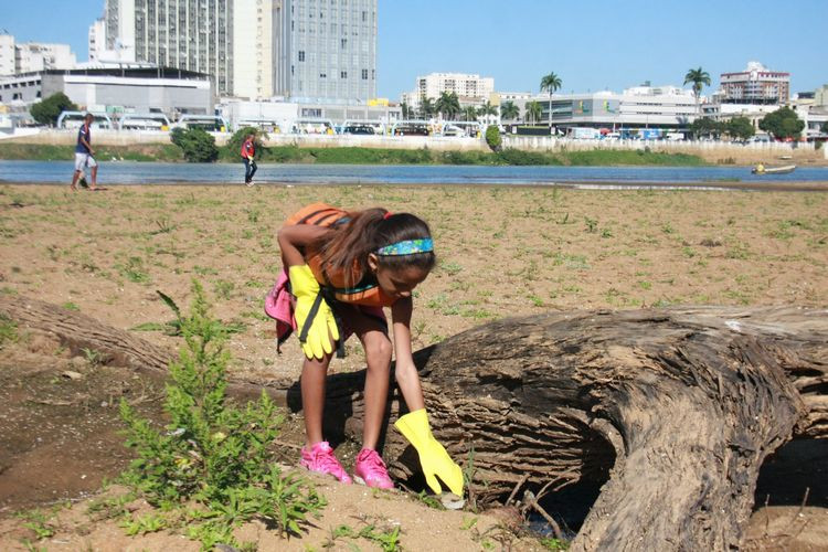 Semana Municipal de Árvore começa nesta terça (18) - PREFEITURA