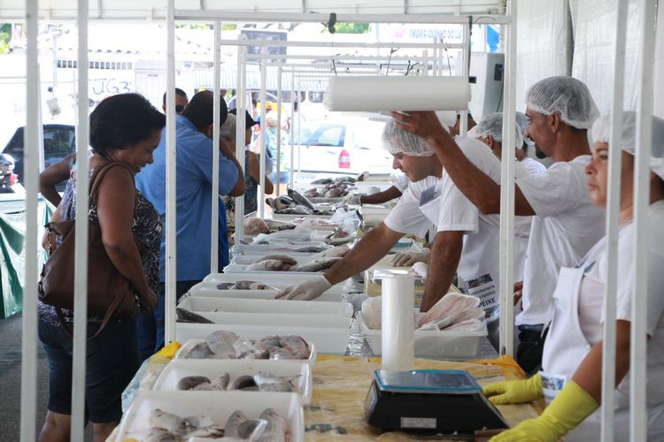 A programação da Feira do Peixe será definida nesta terça-feira, numa reunião entre o superintendente de Pesca e Aquicultura, Rodolfo José Ribeiro, e pesquisadores da Uenf, inclusive o professor Geraldo Márcio Timóteo, da Pescarte (Foto: Rodolfo Lins)