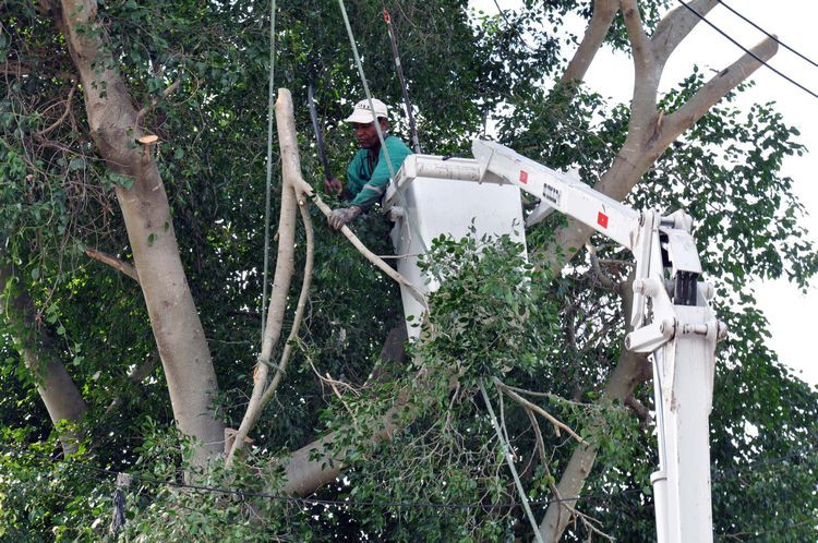  (Foto: Divulgação)