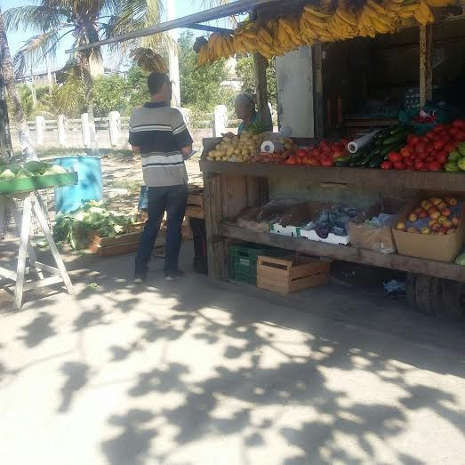  (Foto: divulgação)