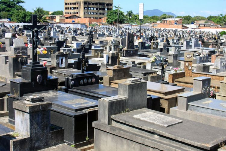  (Foto: Divulgação)